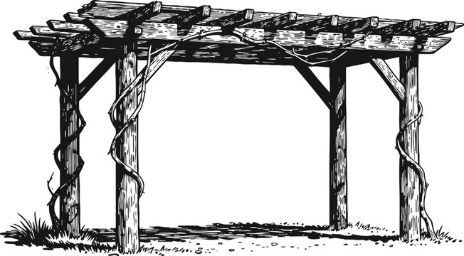 Rustic wooden pergola with climbing vine plants garden outdoor structure for shade and decoration