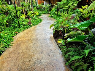 Serene Garden Pathway Surrounded by Exotic Green Plants © Fitri