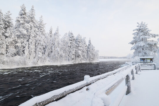 View of a dark, swiftly flowing river contrasting against the snow-laden evergreens and frosted wooden railing under a pale sky, Ruka, Pohjois-Pohjanmaa, Finland.