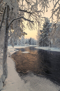 View of a serene river reflecting the soft glow of the horizon, framed by snow-laden trees in a winter wonderland, Ruka, Pohjois-Pohjanmaa, Finland.