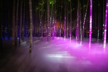 茨城県水戸市　偕楽園のライトアップ