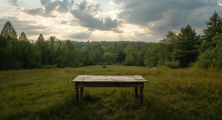 Naklejka premium Natural outdoor scene with an empty wooden table on grass surrounded by forest and cloudy skies