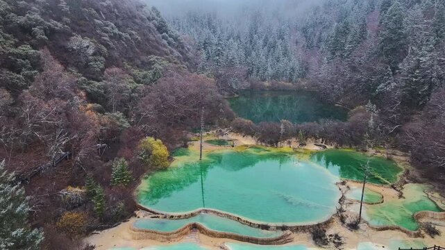 Aerial View of Logs Submerged in Turquoise Lake and Calcification pool
