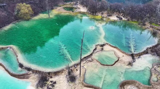 Aerial View of Logs Submerged in Turquoise Lake and Calcification pool