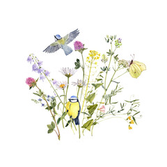 watercolor drawing composition with wild flowers, butterfly and blue tit birds isolated at white background, wild flowering plants, hand drawn illustration © cat_arch_angel