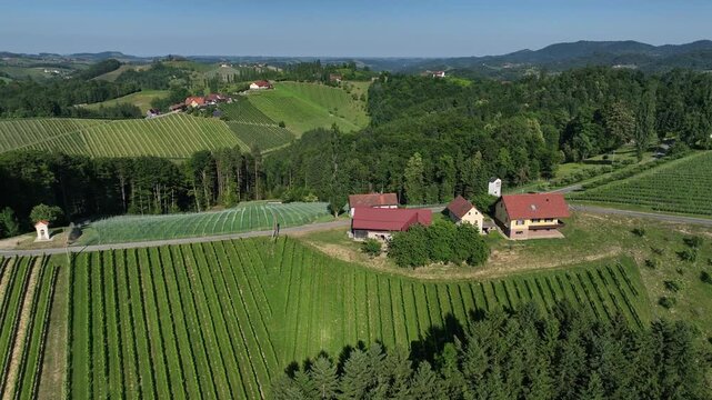 Summer drone footage shows Styria vineyards glowing in sunset light, rolling hills covered in green rows, warm atmosphere, calm landscape, smooth motion capturing quiet beauty of wine country.