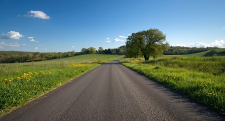 Open asphalt road stretching through natural rural scenery with dandelions blooming on a clear spring afternoon