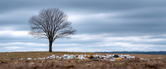 Lonely bare tree standing on a barren field with scattered trash and cloudy sky in the background