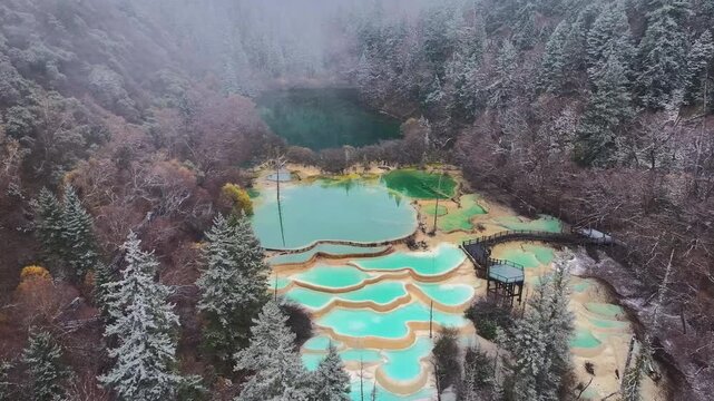 Aerial View of Logs Submerged in Turquoise Lake and Calcification pool