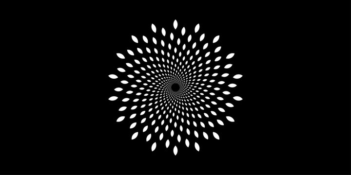 Abstract radial spiral geometric flower burst with hypnotic optical illusion symmetry black and white circular vortex pattern modern minimal vector background