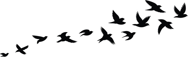 Naklejka premium PrintBird flight silhouettes collection, flying bird vector illustration, avian wing motion artwork, nature outline graphics, wildlife design elements, dynamic posture icons