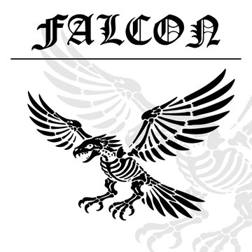 Falcon Skeleton in Flight with Detailed Wing Bone Structure