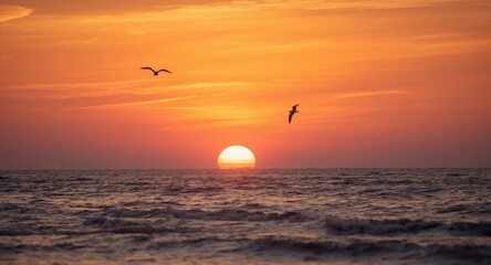 Sunset over the ocean with a seagull silhouette in the sky