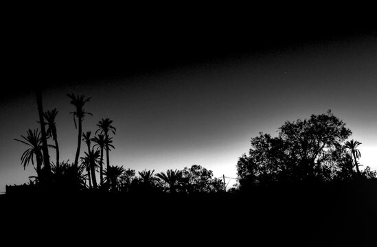 Archeologia in bianco e nero Marocco. Oasi di Skoura, patrimonio Unesco e la Kasbah Amredil	