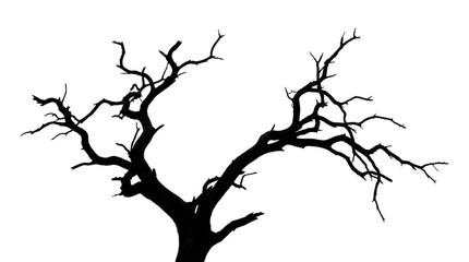 A silhouetted dead tree with bare branches adorned with small twinkling lights against a dark background. The lights create a magical and ethereal effect.