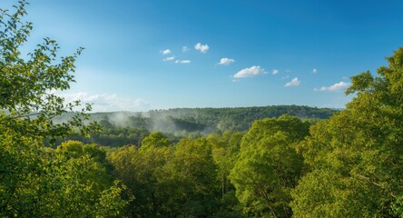 Fototapeta premium Serene natural forest with lush greenery and expansive clear blue sky featuring copy space