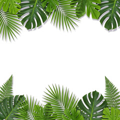 Tropical green leaves frame border with empty white center for text or photo