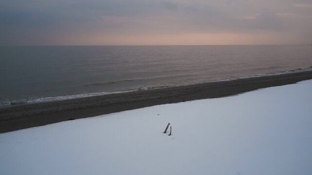 波打ち際の雪原と流木
