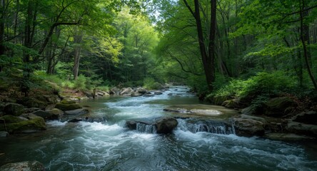 Soothing forest panorama near whitewater river emphasizing green preservation