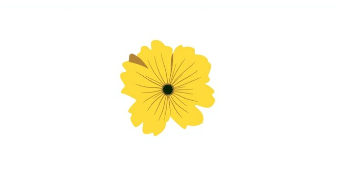 Stylized 2D cartoon buttercup flower graphic with crisp white background