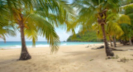 Obraz premium Soft blurred view of a tropical sandy beach and palm trees creating summer atmosphere with copy space