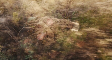 Soft blurred natural scene rendered by long exposure highlighting mesmerizing movement