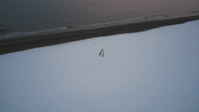 波打ち際の雪原と流木