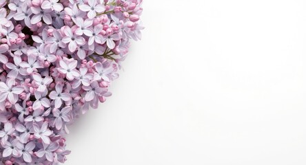 Fototapeta premium Spring lilac blossoms with copy space top view flat lay background