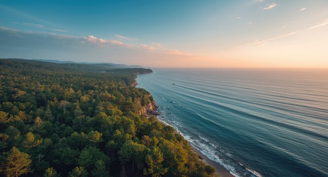 Natural summer aerial shot illustrating dense forest border with calm sky blue sea