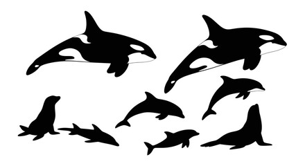 Orca Whales, Dolphins, and Seals Silhouettes Collection © siti