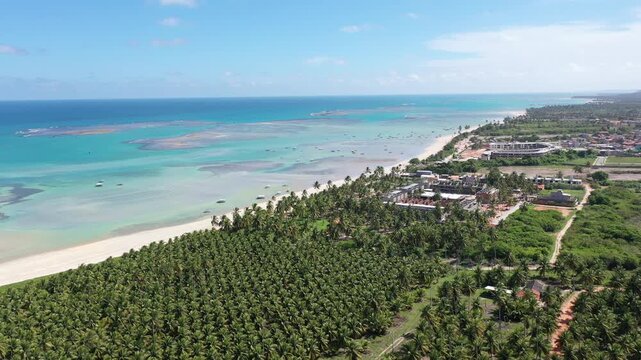 Aerial view of Rota dos Milagres beach with fantastic turquoise waters, white sand beaches, coconut trees and small boats. Patacho, Maceio city, Brazil 