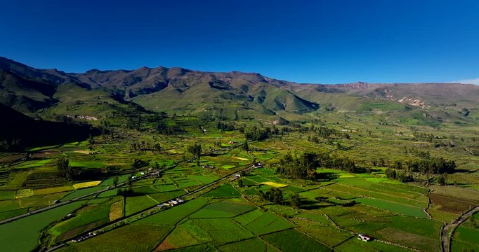 Lush fertile patchwork farm landscape of Colca Canyon, Chivay, Peru. Aerial