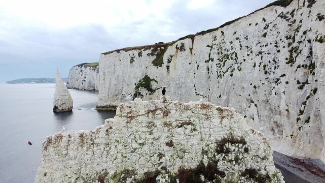 A beautiful cormorant with seagulls on the edge of a white cliff off the coast of southern England, with kayakers in the background.
