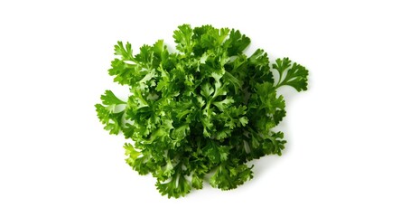 Obraz premium Top view of freshly chopped parsley leaves isolated on a white background with vibrant green color
