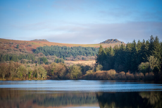 Calm Burrator Reservoir Reflection With Forested Shoreline and Rolling Hills Under Blue Sky