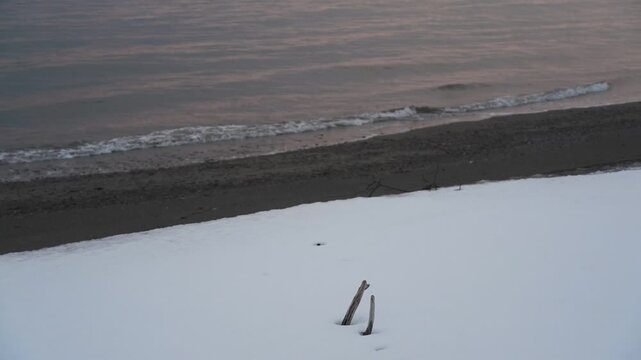 波打ち際の雪原と流木