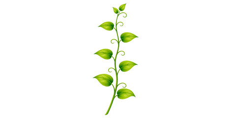 Fresh green plant leaves and sprouts with a natural stem are isolated on a white background for botanical flora design
