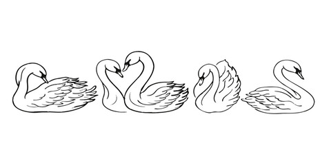 Hand drawn vector illustration of two abstract swan birds forming a heart symbol with their wings and beaks to represent love and nature in a cartoon silhouette design © Hena