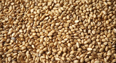 Fototapeta premium Seed and grain material texture for animal feed focusing on bird and livestock nutrition