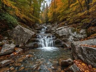 Obraz premium Cascading Water Flowing Through the Forest during Autumn