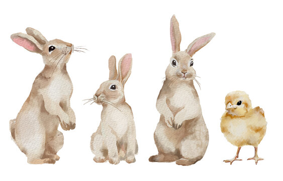 Clip art set of bunnies and chicks. Easter chicks.