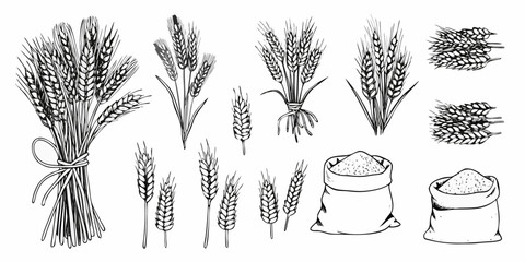 Vintage illustration of wheat sheaves grains and sacks of flour © Shuvra Majumder