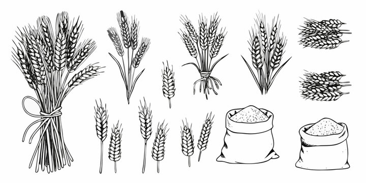 Vintage illustration of wheat sheaves grains and sacks of flour