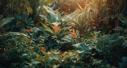 Obraz premium Lush green tropical plants in a thriving summer garden with colorful foliage forming a lively background