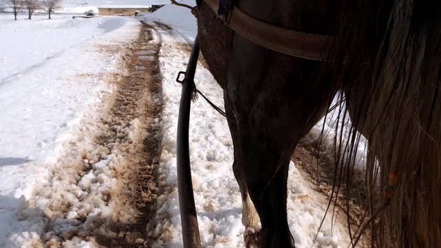 Point of view from behind a horse pulling a cart along a snowy rural road. Wide winter plains and distant mountains create a cinematic countryside journey scene.