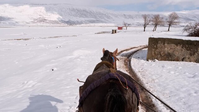Point of view from behind a horse pulling a cart along a snowy rural road. Wide winter plains and distant mountains create a cinematic countryside journey scene.