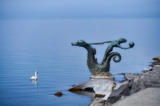 Side view of a swan swimming next to the Nymph on a seahorse sculpture at the edge of Lake Geneva, Vevey, Switzerland