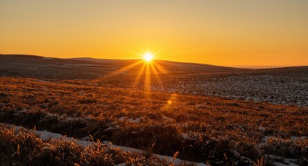Golden sunset lighting up snowy country meadows