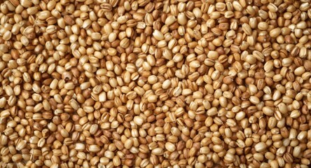 Fototapeta premium Close-up shot featuring natural textured foxtail millet grains in golden color
