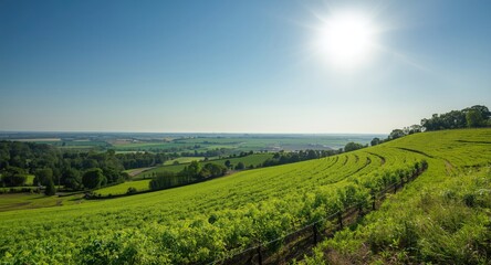 Obraz premium Picturesque greenery and agricultural land beneath bright sky